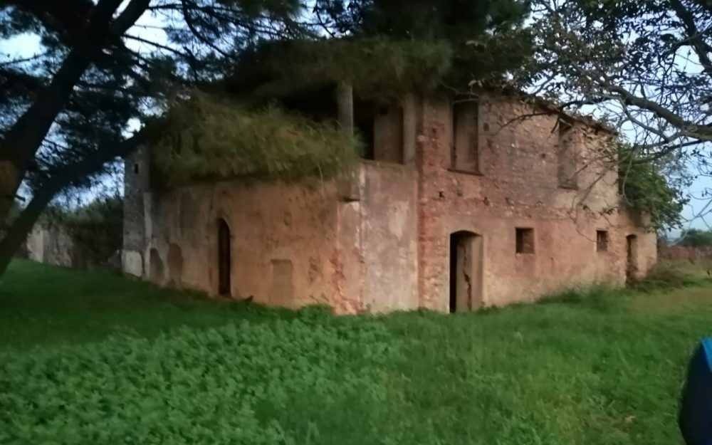 TERRENO AGRICOLO – C/DA ROTOLI – LAMEZIA TERME