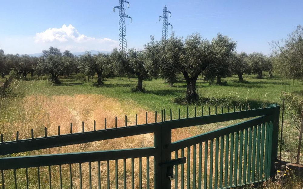 TERRENO AGRICOLO – TRAV . VIA DEL PROGRESSO- NICASTRO